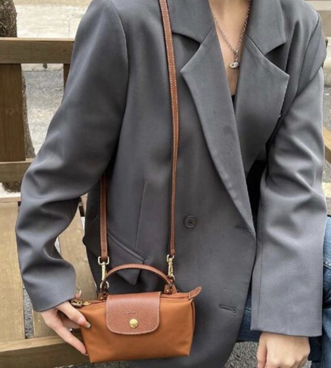 Le Pliage Longchamp Pouch with handle